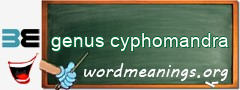 WordMeaning blackboard for genus cyphomandra